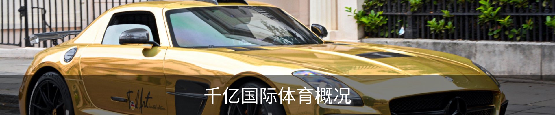 千亿国际体育概况